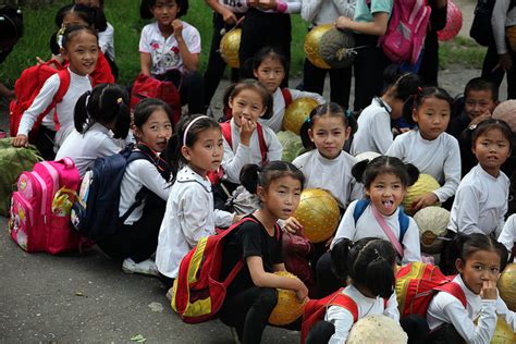 Education in North Korea: Exploring School Systems