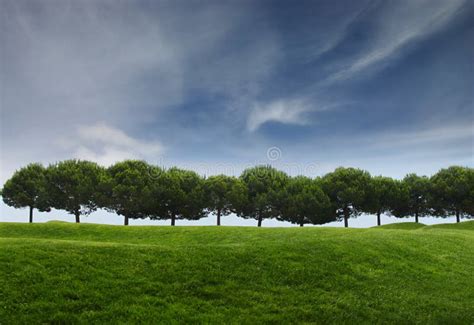 Sunny landscape stock photo. Image of beautiful, landscape - 9798760