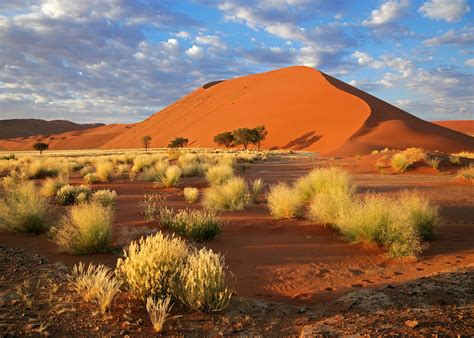 Namibia Holidays and Safaris 2025 & 2026 | Audley Travel UK