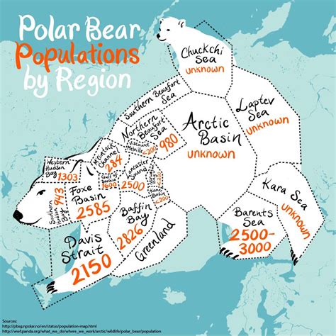 An illustrated map of the world's polar bear population | Illustrated ...