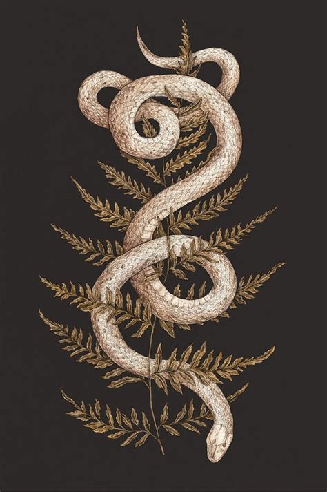 The Snake and Fern Print | Snake art, Tarot art, Art inspiration