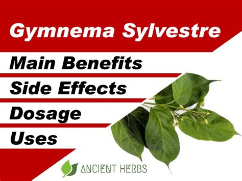 Gymnema Sylvestre Benefits, Uses, Dosage & Side Effects