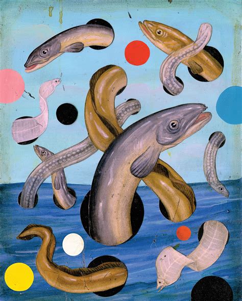 Where Do Eels Come From? | The New Yorker