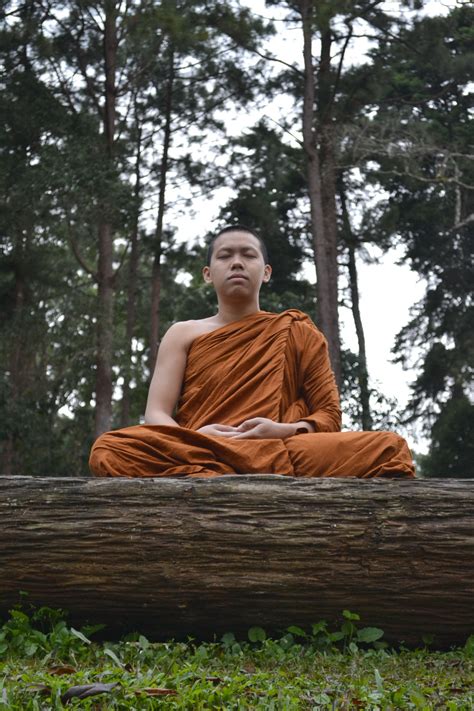 File:Buddhist monk meditation.jpg - Wikimedia Commons