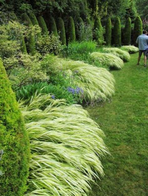 Amazing Evergreen Grasses Landscaping Ideas41 #drylandscapegarden ...