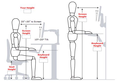 Standing Desk Guide: Measurements, Examples and Benefits