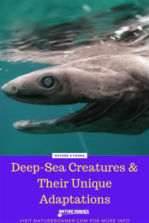 Deep sea creatures their unique adaptations – Artofit