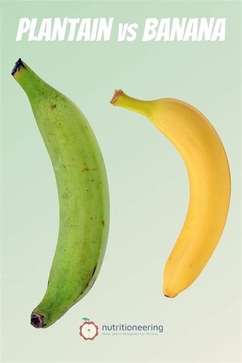 Plantain vs Banana Nutrition: Which Is Healthier?