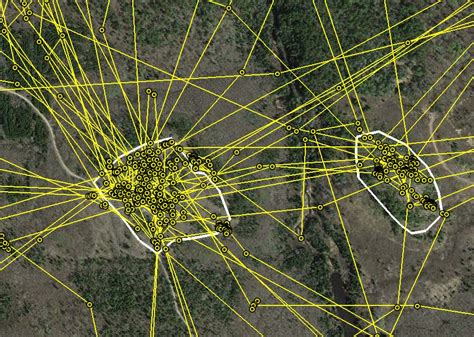 GPS Map Composed Of 68,000 Pinpoints Tracks The Territorial Nature Of ...