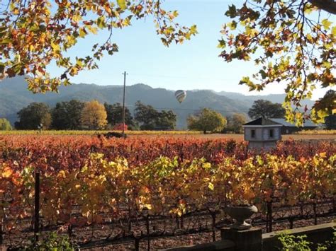 Six Hotels with Extraordinary Vineyard Views | Napa valley san ...