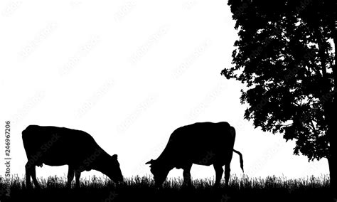 Realistic illustration with two silhouette of cow on pasture, grass and ...