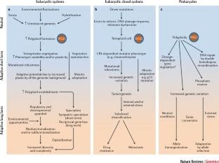 The evolutionary significance of polyploidy | Nature Reviews Genetics