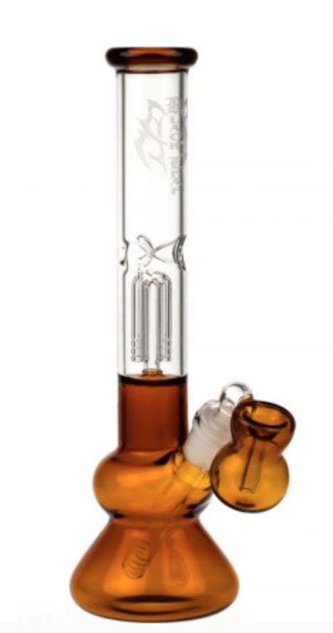 Top 7 Best Percolator Bongs 2022- Guide & Reviews