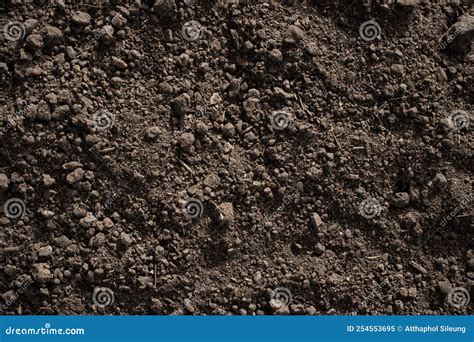 Fertile Loam Soil Suitable for Planting, Soil Texture Background Stock ...