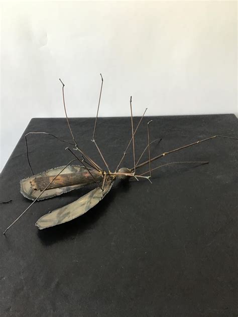 1960s Large Brass Mosquito Sculpture Signed For Sale at 1stDibs