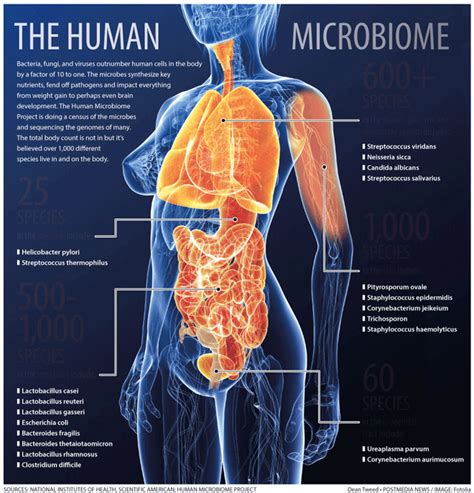 Glyphosate and the Gut Microbiome: Another Bad Argument Annihilated ...