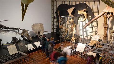 Museo Nacional de Ciencias Naturales | Museums in Castellana, Madrid