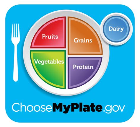 Free Healthy Plate Cliparts, Download Free Healthy Plate Cliparts png ...