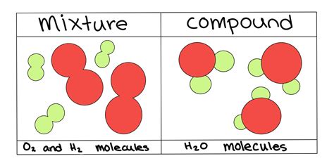 Biology: Homogeneous vs. Heterogeneous Mixtures - Expii