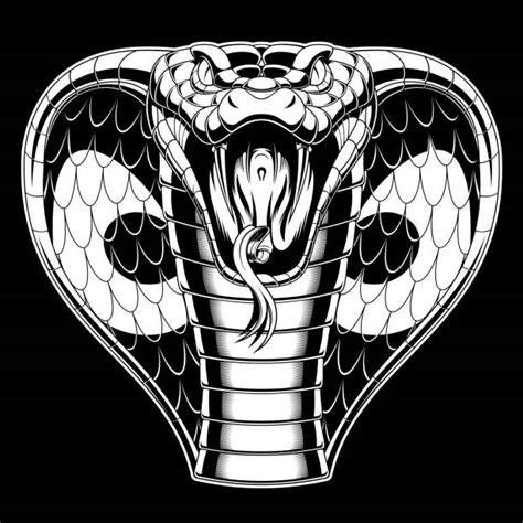 Cobra Snake Illustrations, Royalty-Free Vector Graphics & Clip Art - iStock