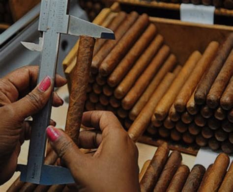 What are the most popular cuban cigar shapes? - Puroexpress Blog