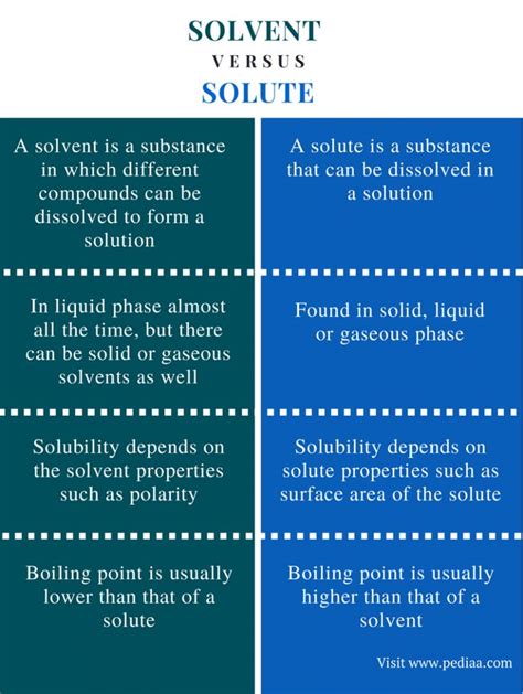 What Is the Difference Between Solvent and Solute?