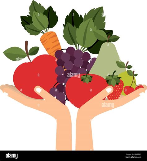 Fruits and vegetables icon vector illustration graphic design Stock ...