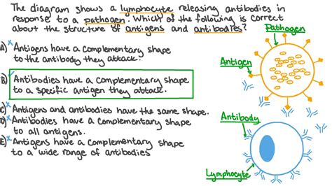 Question Video: Identifying the Structural Relationship between ...