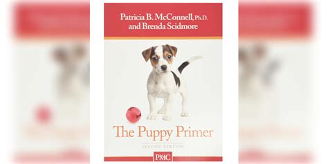 9 Best Dog Training Books - DodoWell - The Dodo