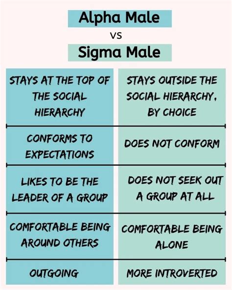 Sigma Male: 20 Personality Traits To Identify Him Sigma, 48% OFF