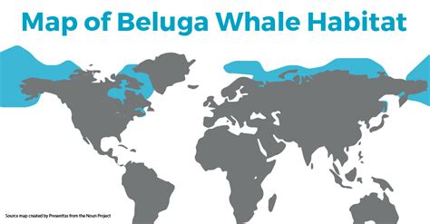 Map of Beluga Whale Habitat by SEEtheWILD Wildlife Conservation Travel