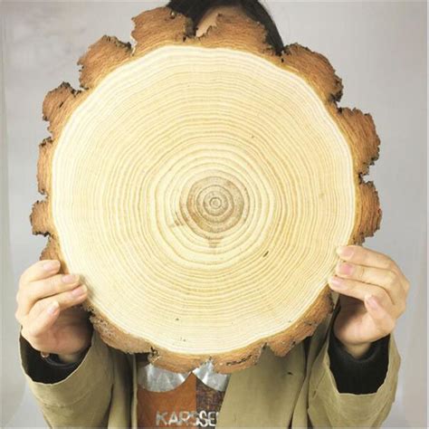 20+ Rustic Wood Log Slices