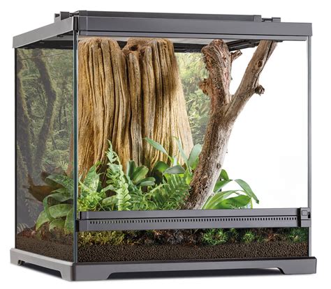 Dart Frog Terrarium - Frogs & Co