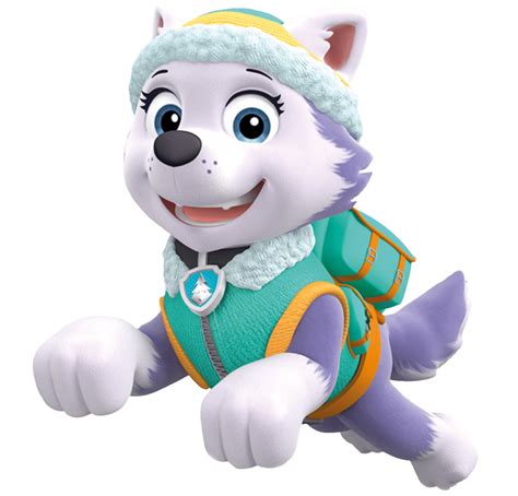 Patrulha Canina PNG - Imagens PNG | Paw patrol birthday, Paw patrol ...