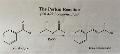 Solved propose a mechanism of the Synthesis of cinnamic acid | Chegg.com