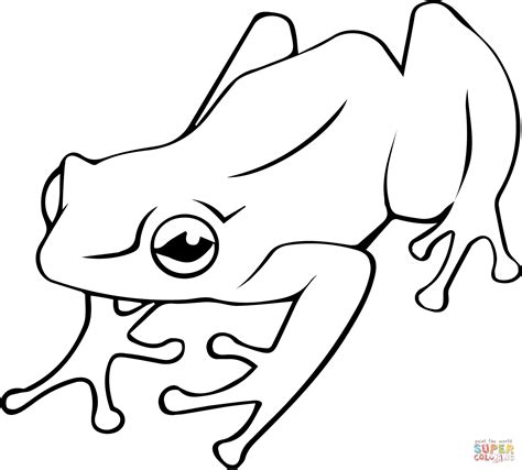 Poison Dart Frog coloring page | Free Printable Coloring Pages