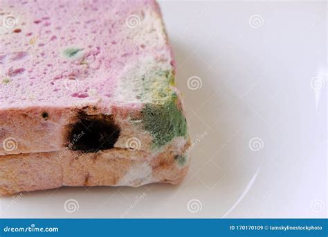 Fungi on Slice Bread. the Moldy Bread. Expired Food. Stock Image ...