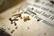 Bookworm (insect) - Wikipedia