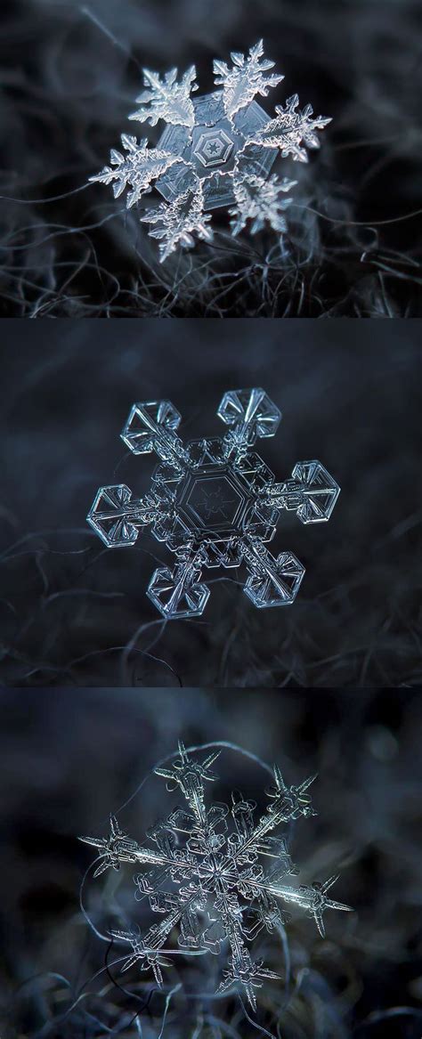 Macro images of snowflakes - DIY Technique. Takes my breath away! More ...