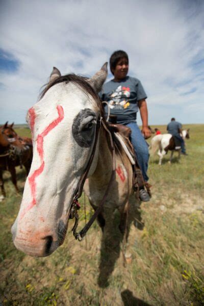 100+ Native American Indian Horse Names - Cornerstone Equine Academy