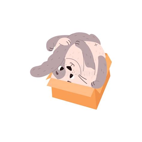 Funny Cat Plays Hiding in Box Flat Vector Illustration Isolated on ...