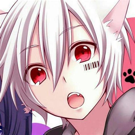 Cute Anime Cat Boy Wallpapers - Wallpaper Cave