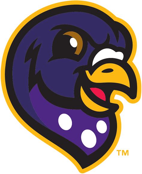 Akron RubberDucks Logo - Alternate Identity Logo - Eastern League (EL ...