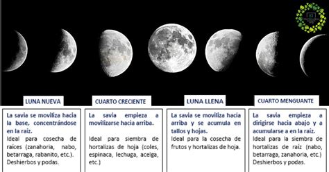 Fases De La Luna En Marzo 2023 Para - IMAGESEE