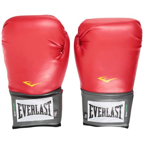 Boxing Gloves Everlast 16 Oz - Images Gloves and Descriptions ...