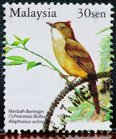 Malaysia Birds Stamps | Stamps Gallery