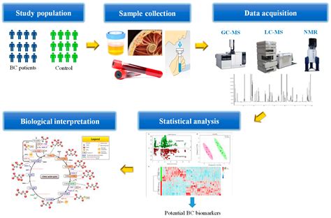 Metabolites | Free Full-Text | Breast Cancer Metabolomics: From ...