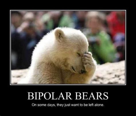 Polar Bear Funny Quotes. QuotesGram