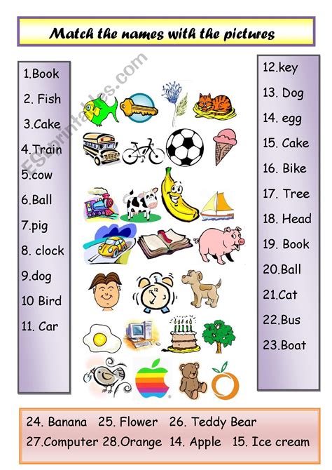 BASIC VOCABULARY - ESL worksheet by PepperM