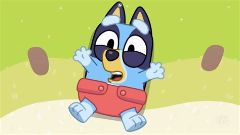 Top 10 'Bluey' Episodes